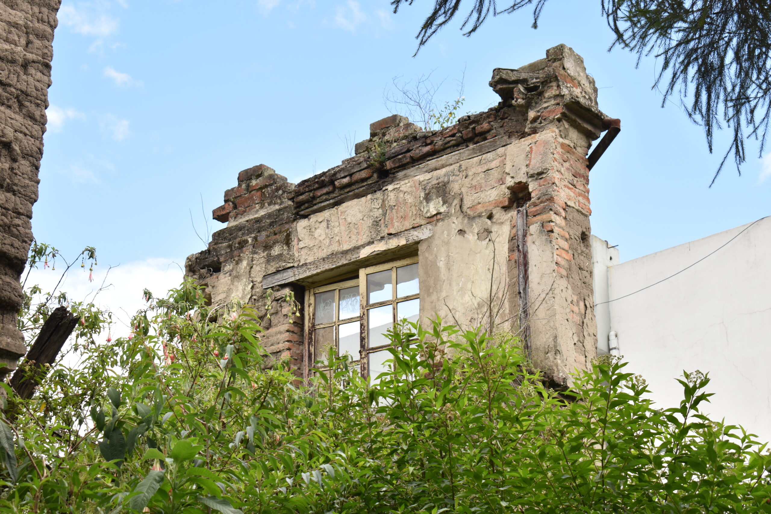 Casa1000
